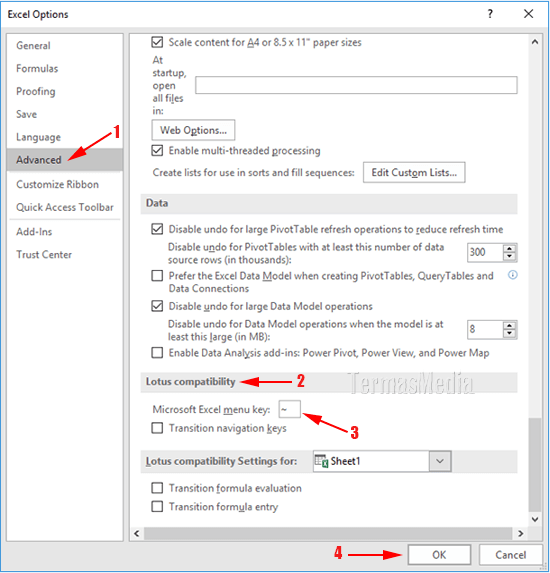Membolehkan pengetikan garis miring (slash) di sel Excel